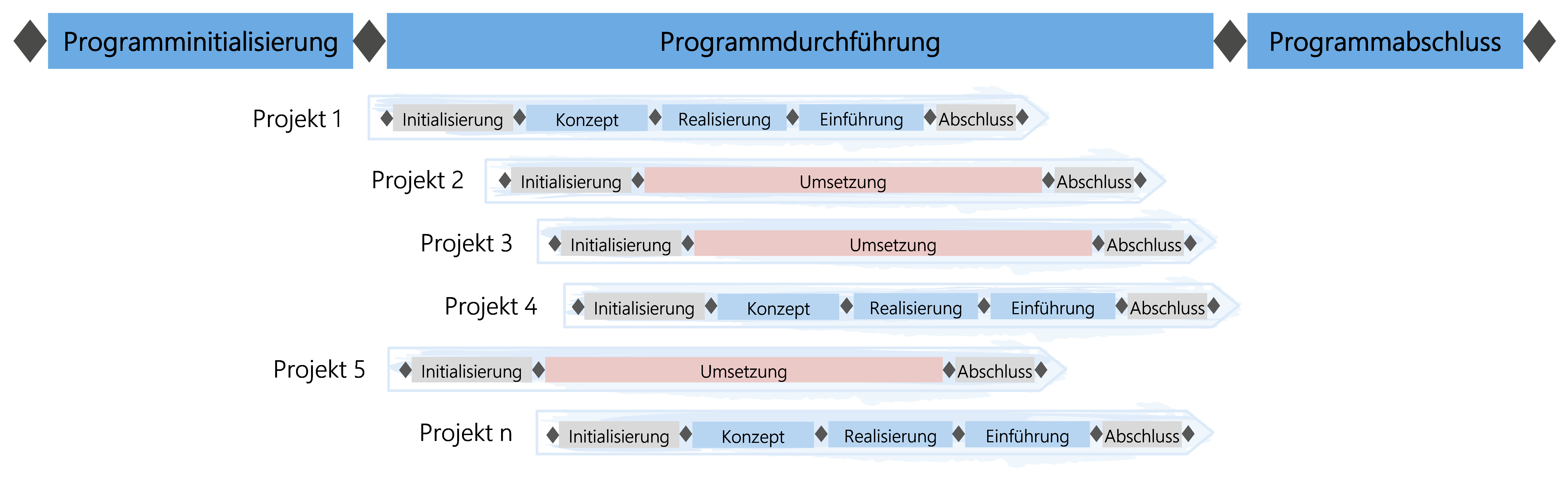 Abbildung : Projekte zu Programmen zusammengefasst